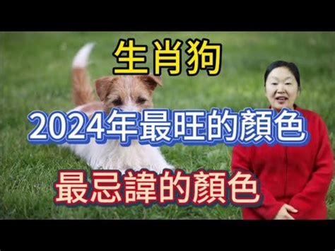 生肖狗 幸運色|【屬狗的幸運顏色】解開2024屬狗幸運色之謎！提升。